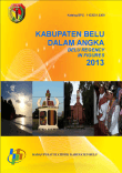 Belu Dalam Angka 2013